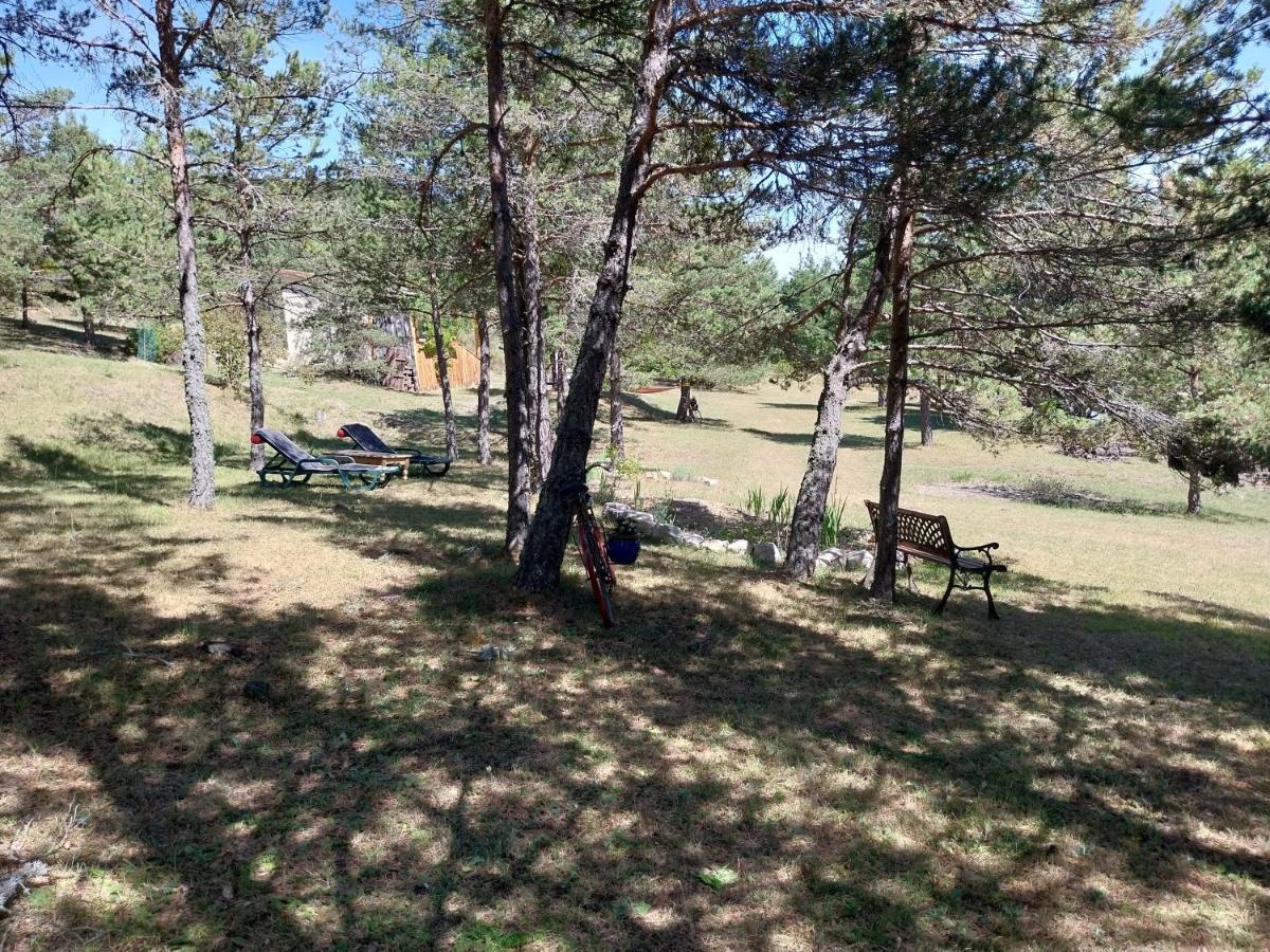 Petit Studio Dans La Prairie Saint-Auban  Экстерьер фото